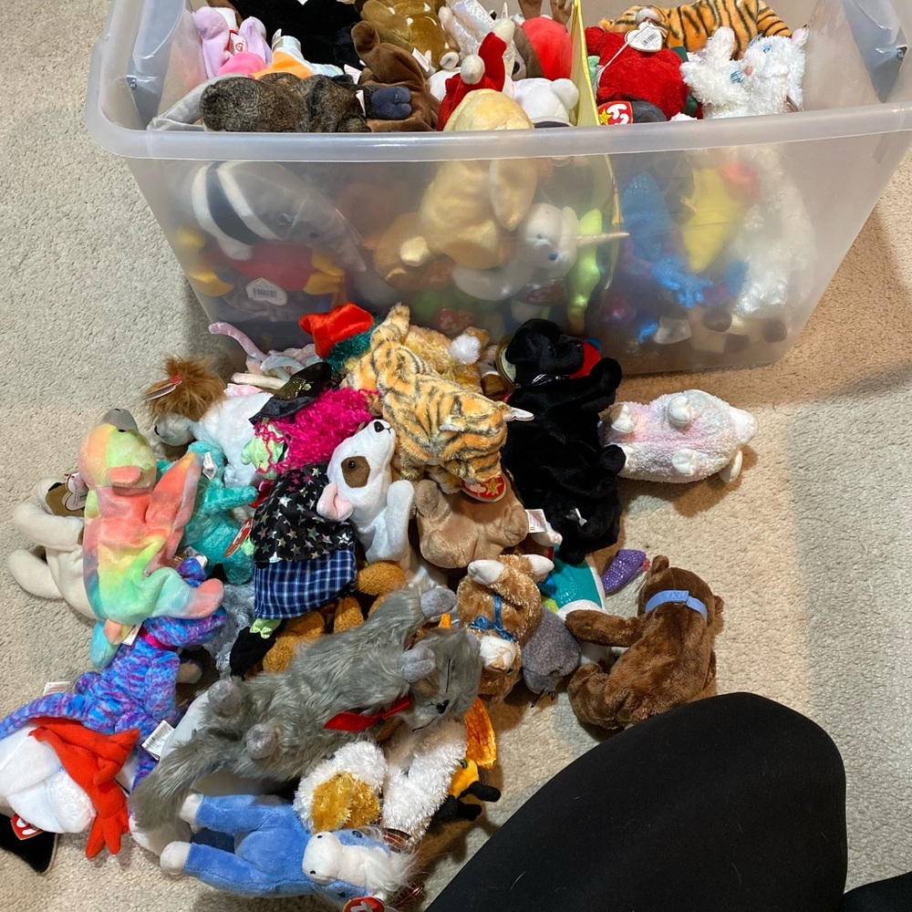 Ty Multicolor Stuffed Animal Collection - Picture 2 of 9